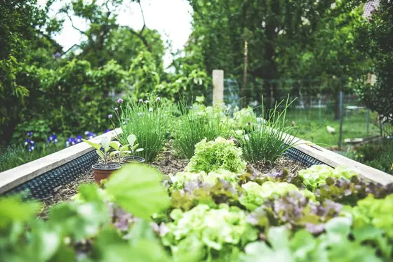 Landscaped garden bed