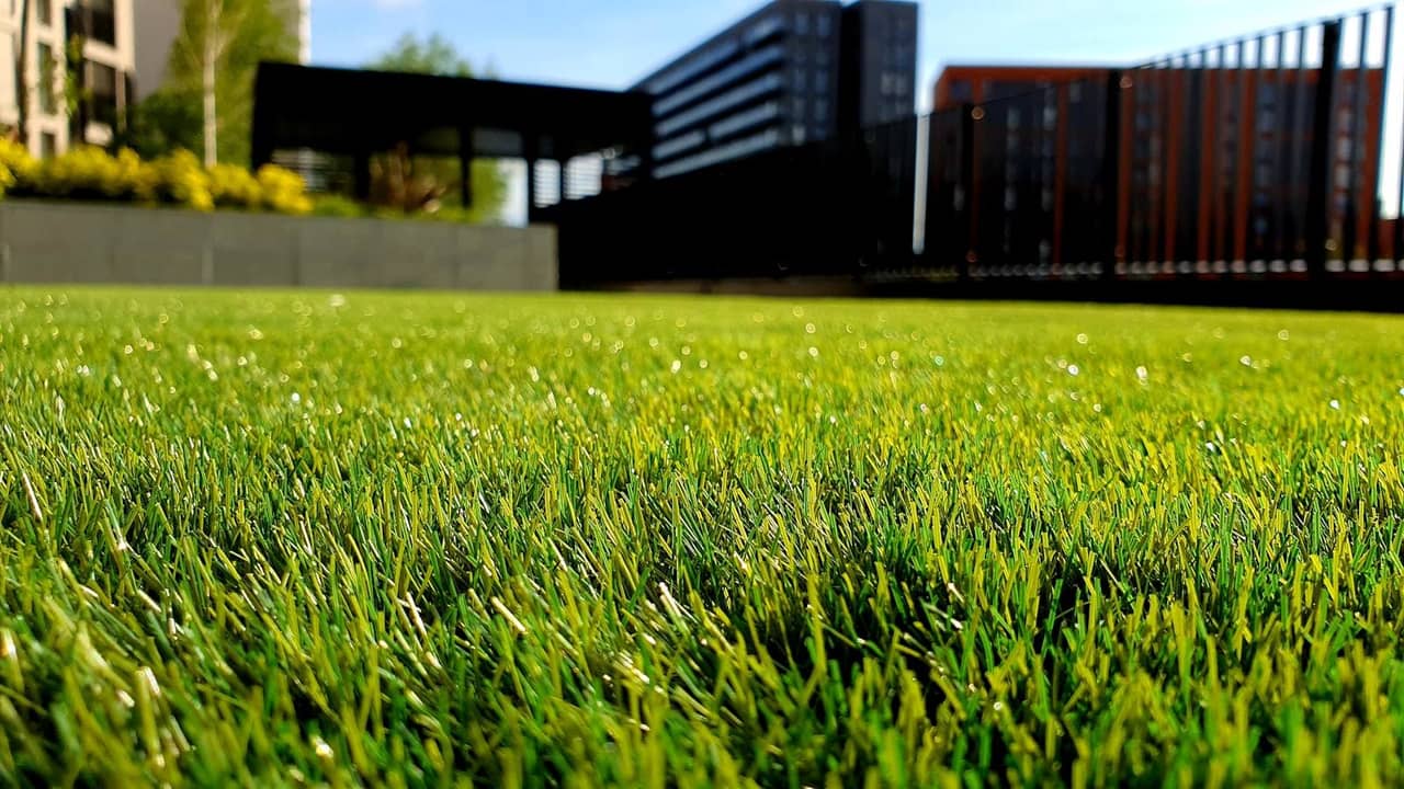 Healthy, lush green lawn maintained by JH Lawn Service